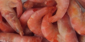 Сколько варить варено мороженые креветки 